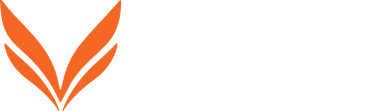 VYLO Performance Institute